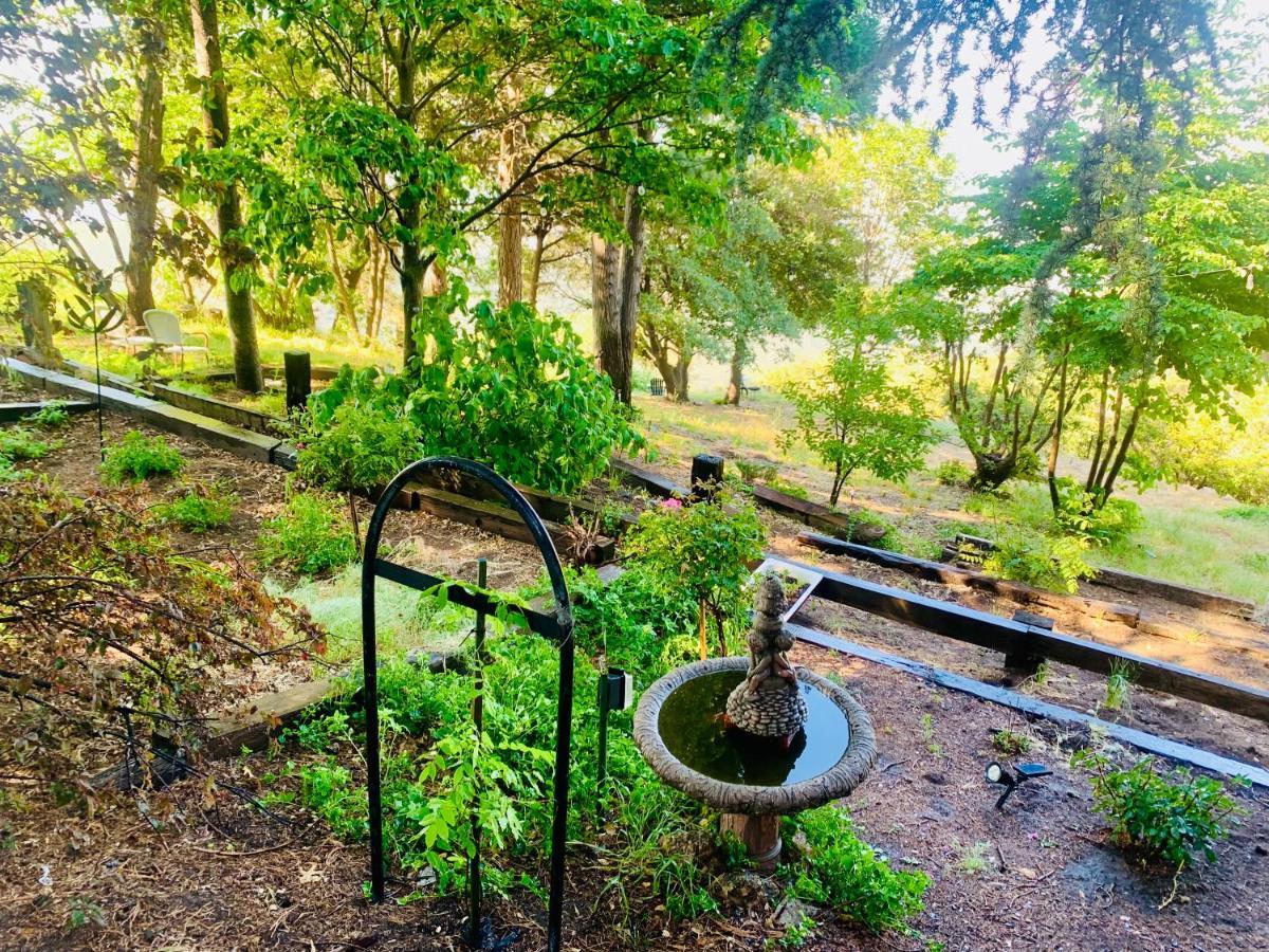 100 Mile View-Fire Pit, Romantic, Peaceful, Private Crestline Ngoại thất bức ảnh