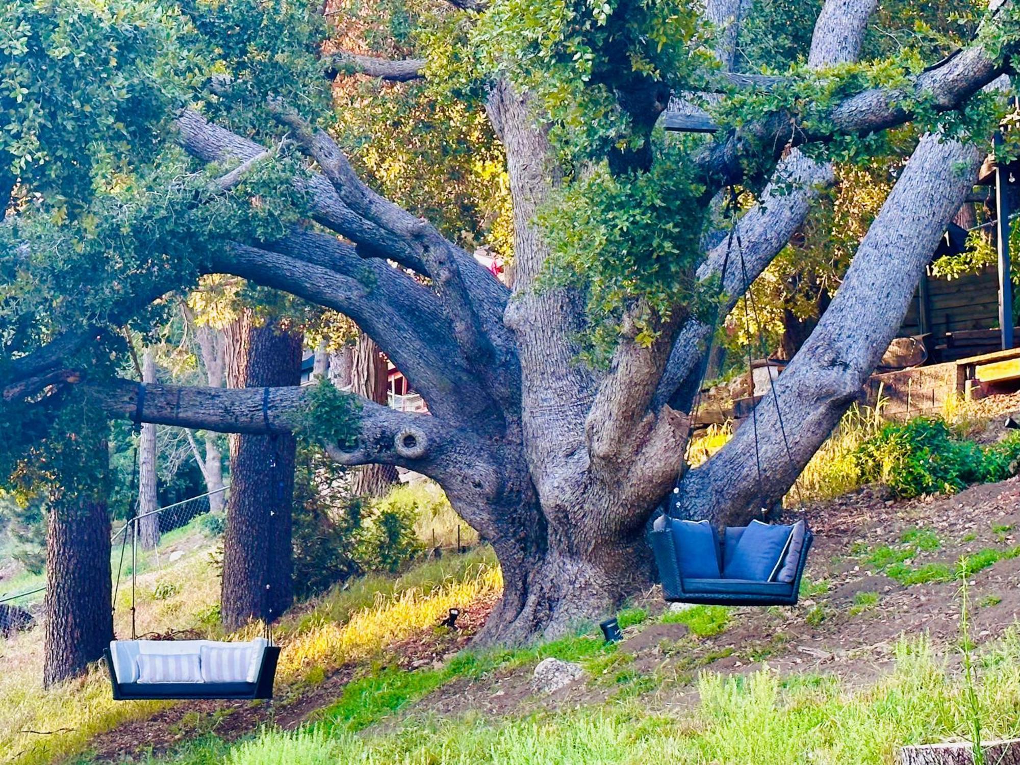 100 Mile View-Fire Pit, Romantic, Peaceful, Private Crestline Ngoại thất bức ảnh