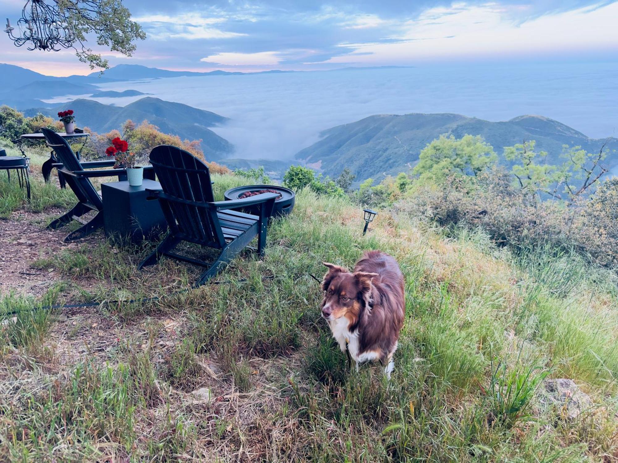 100 Mile View-Fire Pit, Romantic, Peaceful, Private Crestline Ngoại thất bức ảnh